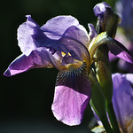 http://Slide%20Image